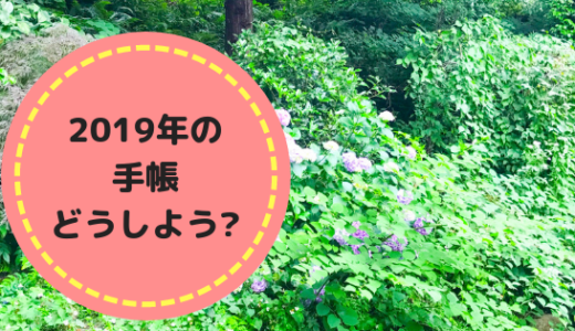 2019年の手帳問題
