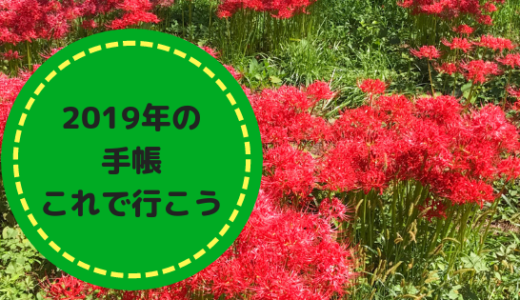 2019年の手帳、これで行こう
