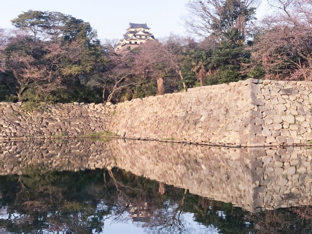 2019.04.04 彦根城の桜