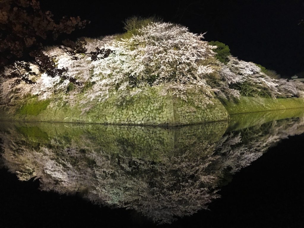 2019.04.06 彦根城の夜桜