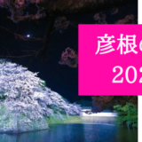 彦根の桜2020